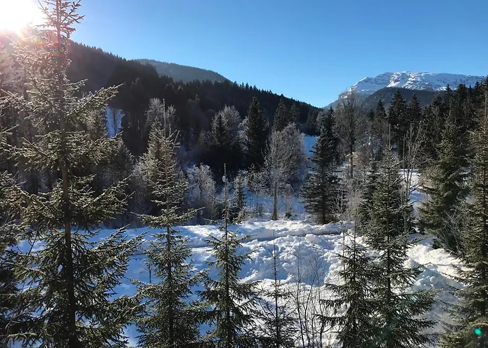 Laune Appartement Reit im Winkl